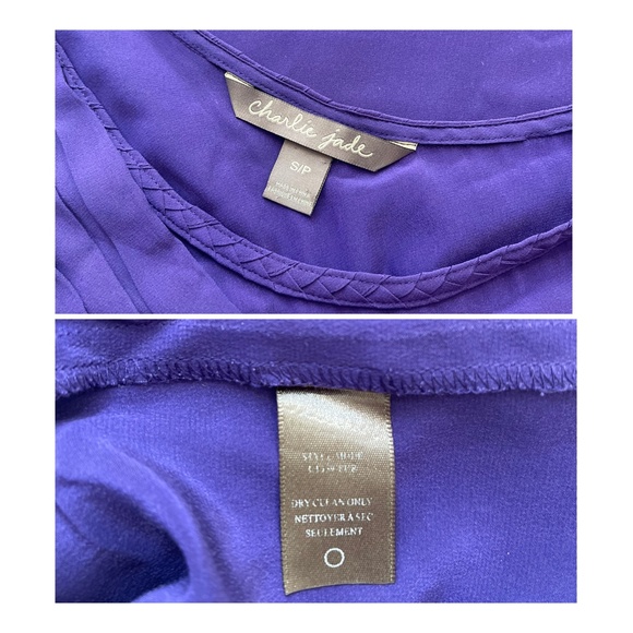 Charlie Jade - One Spaghetti Strap Asymmetrical Silk Dress Women's Size SP - Picture 9 of 9